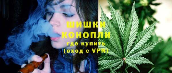 молекула духа Майский