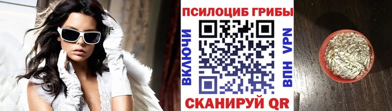 купить   mega как войти  даркнет официальный сайт  Заречный  Псилоцибиновые грибы мухоморы 