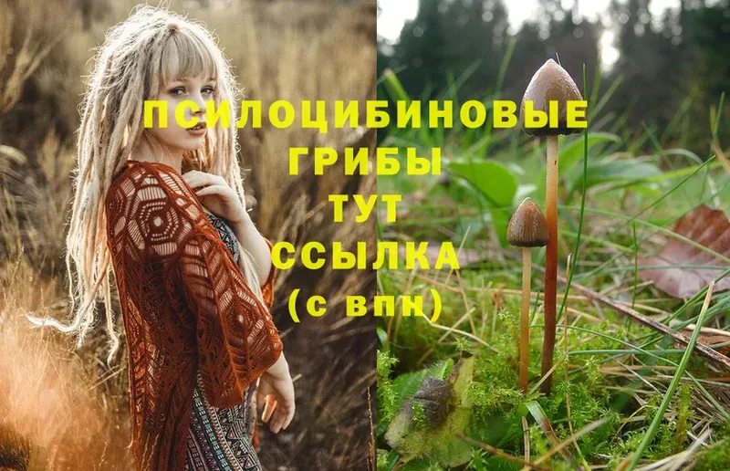 магазин    Заречный  Псилоцибиновые грибы Magic Shrooms 