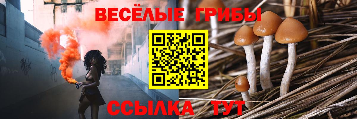 Псилоцибиновые грибы мухоморы  Галлюциногенные грибы GOLDEN TEACHER  Вход с VPN  Заречный 